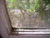 Window Frame Which Has Mould - prevent mould