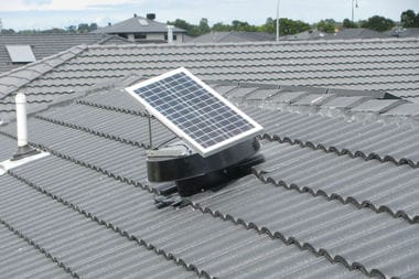 cropped-Carrum-Dows-IMG_0146.jpg