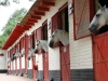 ventilation of Horse Stables