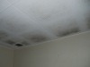 Black Mould On Ceiling - prevent mould