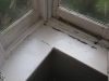 Dampness Causing Mould And Flaking Paint - prevent mould