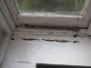 High Moisture Cause Pain Flaking - prevent mould
