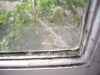 Mouldy Window Frame - prevent mould