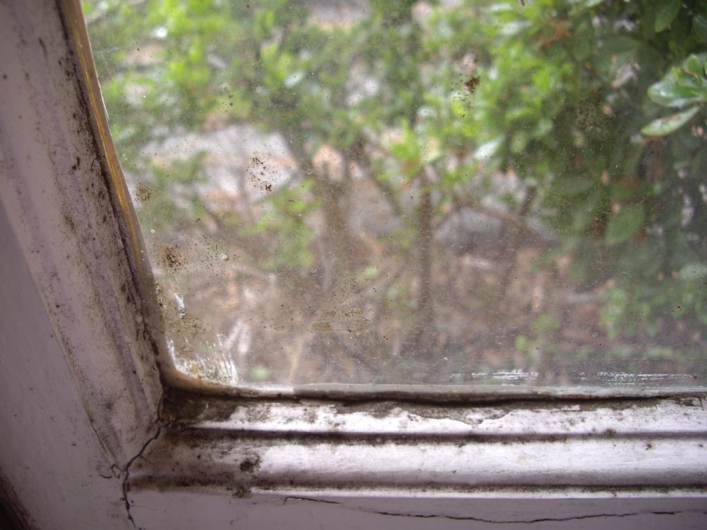 Window Fram Which Has Mould