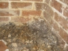 Mould in Sub Floor Ventilation