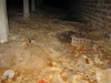 Mouldy Subfloor