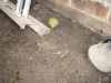 Mouldy Subfloors